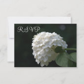 Trouwen RSVP Kaarten Witte Limoen Hydrangea Kaartje (Voorkant)