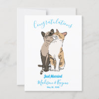 Trouwfeest van schattige katten