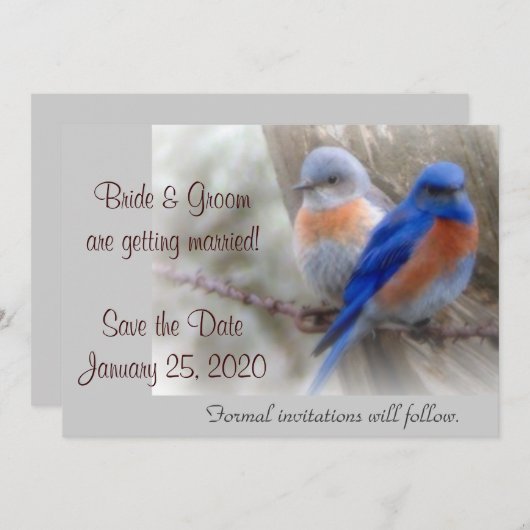 Trouwkaart Blauwe Vogel Aankondigingen (Voorkant / Achterkant)