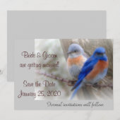 Trouwkaart Blauwe Vogel Kaart (Voorkant / Achterkant)