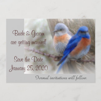 Trouwkaart Bluebird Kaart