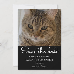 Trouwkat Foto Save The Date