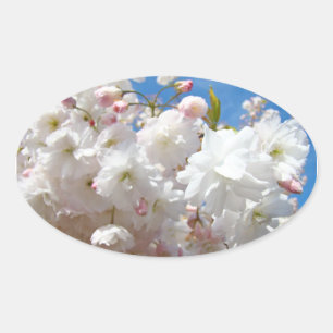 Trouwzegels Mooie Witte Roze Bloesems Lente Ovale Sticker