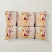 Troy Baby Poly Coussin (Dos)