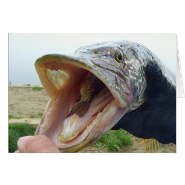 Truc (Devant horizontal)