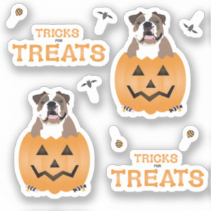 Trucs voor snoepjes Engelse Bulldog Oranje Sticker