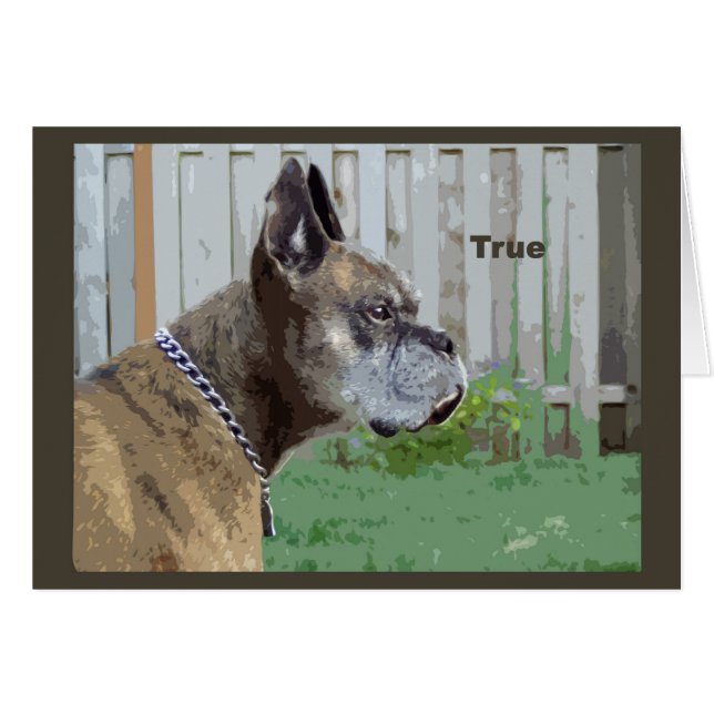 True (Voorkant Horizontaal)