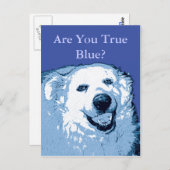 True Blue Dog Democraat briefkaart (Voorkant / Achterkant)