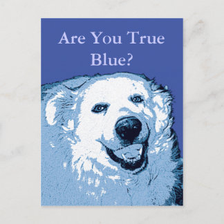 True Blue Dog Democraat briefkaart