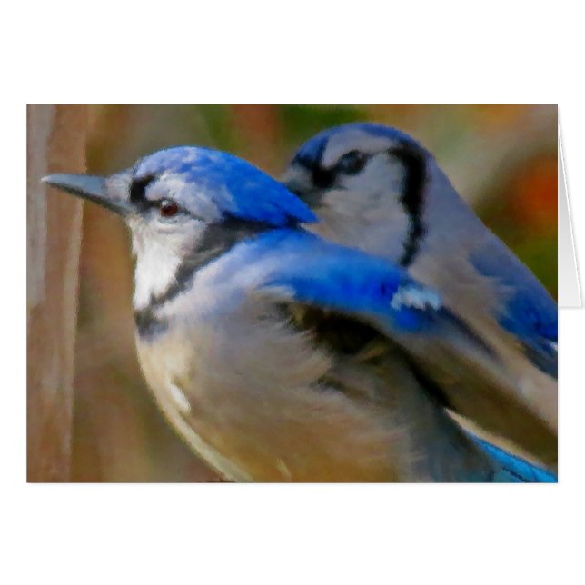 True Blue - vogels (Voorkant Horizontaal)