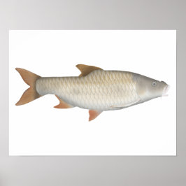 True groothandels tetra-poster poster