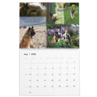 True Knight Tervuren Puppy Review Agenda 1 Kalender