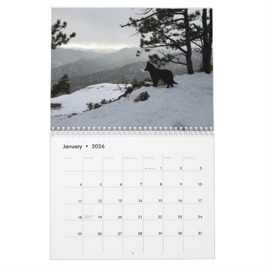 True Knight Tervurens calendrier des avis de chiot (Jan 2026)