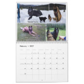 True Knight Tervurens calendrier des avis de chiot (Feb 2027)