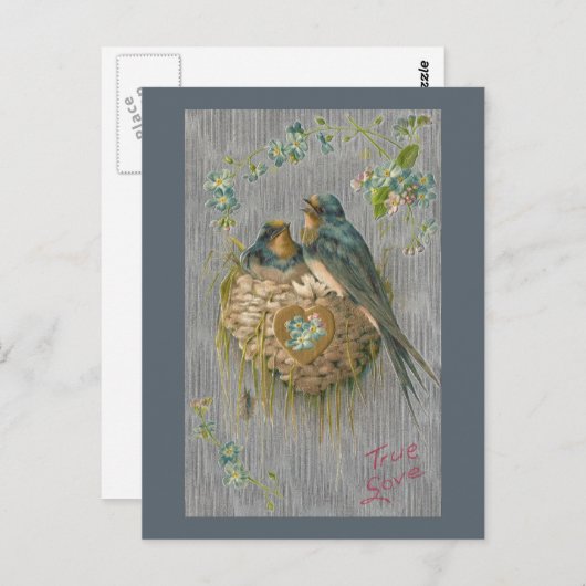True Love for Swallows in Nest Briefkaart (Voorkant / Achterkant)