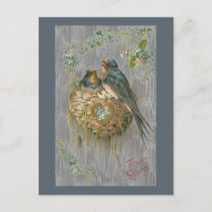 True Love for Swallows in Nest Briefkaart
