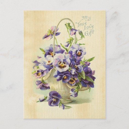True Love Paars Flower  Illustration Aged Briefkaart (Voorkant)