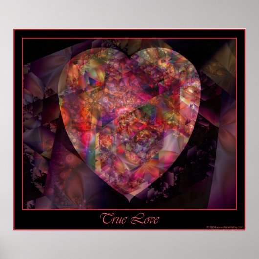 True Love poster (Voorkant)