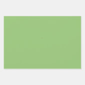 True Pistachio Green Inpakpapier Vel (Voorkant 2)