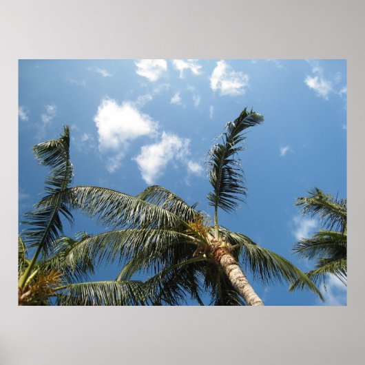 True Relaxation Poster (Voorkant)