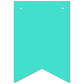 True Turquoise Vlaggetjes (Tweede vlag)