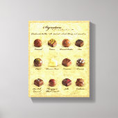 Truffel Collectie Oil Pating Canvas Afdruk (Voorkant)