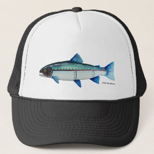 Truite à tête d'acier ; Casquette de baseball
