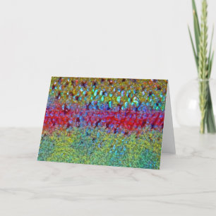Truite arc-en-ciel - Carte