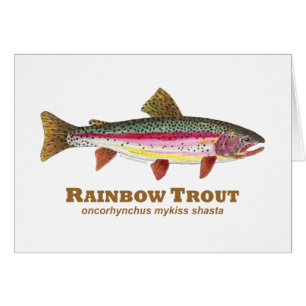 Truite arc-en-ciel latine