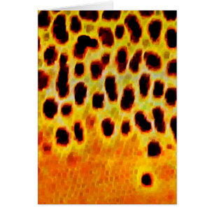 Truite Brown - carte