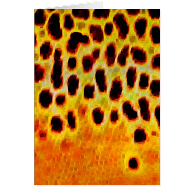 Truite Brown - carte (Devant)