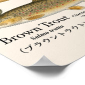 Truite brune – Impression d'art anglaise (Coin)