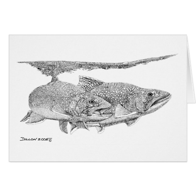 Truite de ruisseau (Devant horizontal)