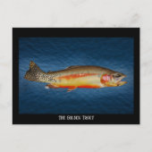 Truite dorée sur eau bleue, carte postale (Devant)