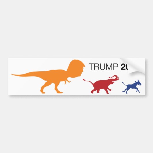 Trump 2020 Bumpersticker (Voorkant)