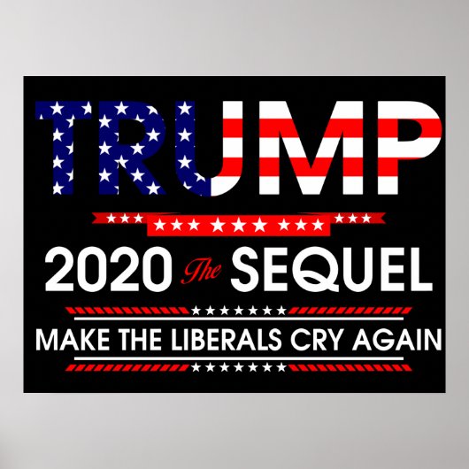 Trump 2020: De Sequel maakt de liberalen weer aan Poster (Voorkant)