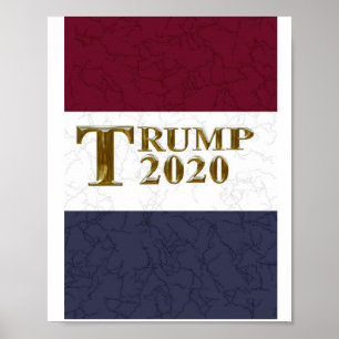 TRUMP 2020 POSTER