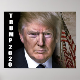 TRUMP 2020 POSTER