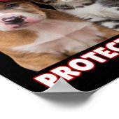 Trump 2024 Bescherm onze huisdieren Grappig Eet on Poster (Hoek)