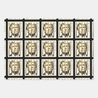 Trump achter het ontwerp van de gouden gevangenisb inpakpapier vel