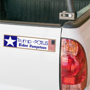Trump Biden Pronkerige Bumpersticker