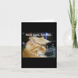 Trump Cat Nine Lives Funny Trump 2024 Kaart