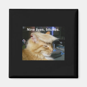 Trump Cat Nine Lives Funny Trump 2024 Magneet