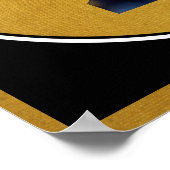 Trump Cover Up Poster (Hoek)