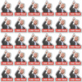 Trump deed dat grappige anti-Trump 30 stuk Sticker (Voorkant)