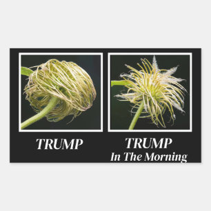 Trump Hair Rechthoekige Sticker