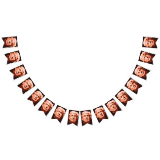 Trump Inauguration 2017 Vlaggetjes