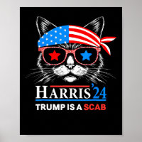 Trump is een schurk stem Harris Vheimer Cat Lady