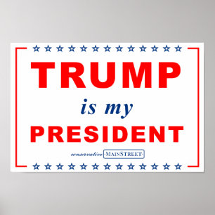 TRUMP is mijn PRESIDENT (RWB) Rally Sign Poster