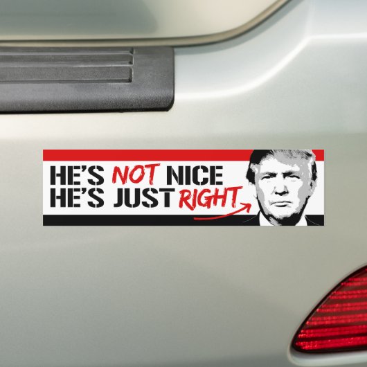 Trump is niet aardig - hij heeft gewoon gelijk - p bumpersticker (Op auto)